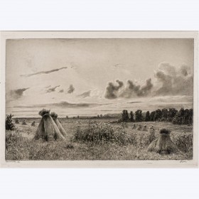 Старинная гравюра И. И. Шишкина «Поле» из альбома